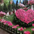 /album/fenykepgaleria/a3627-327679520657144-168167680-n-jpg/